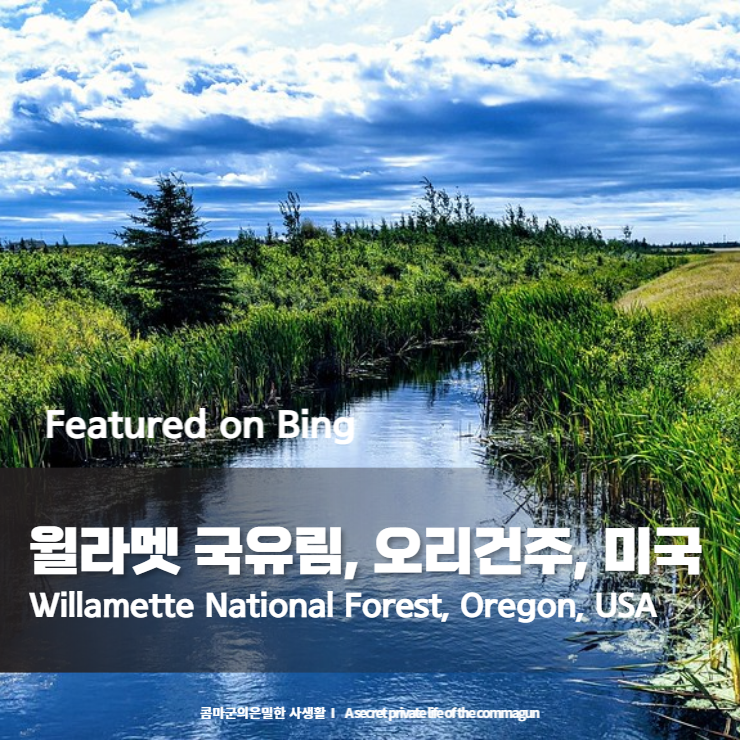  Featured on Bing - 윌라멧 국유림, 오리건주, 미국 Willamette National Forest, Oregon, USA