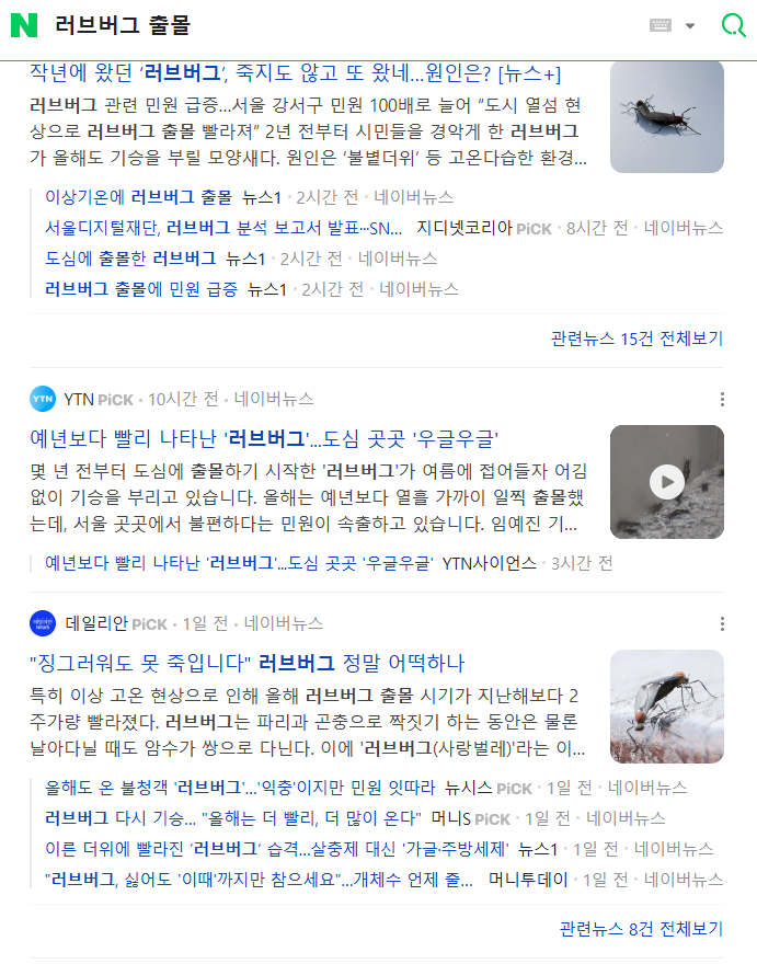 러브버그-출몰-기사