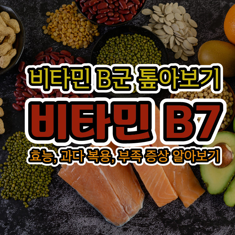 [비타민 B군 톺아보기] 비타민 B7(바이오틴) - 효능&#44; 과다 복용&#44; 부족 증상 알아보기