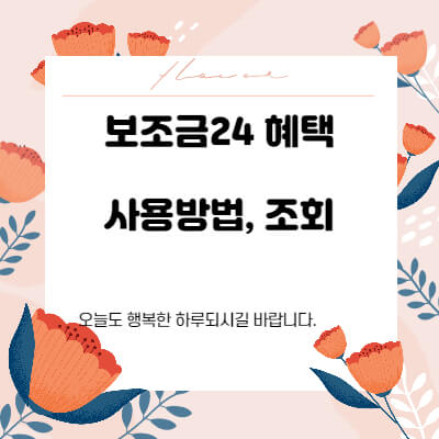 정부24-국가보조금-보조금24-정부지원금-신청방법