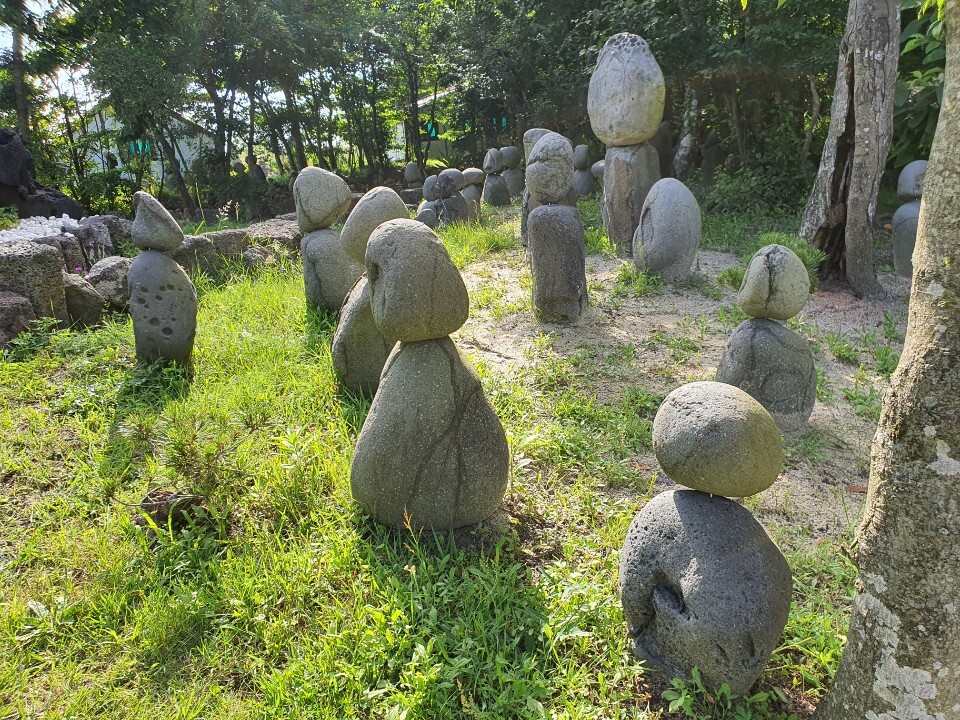  제주도 가볼 만한 곳 - 파파빌레 - 제주 웰니스 관광지 자연․숲 치유 테마