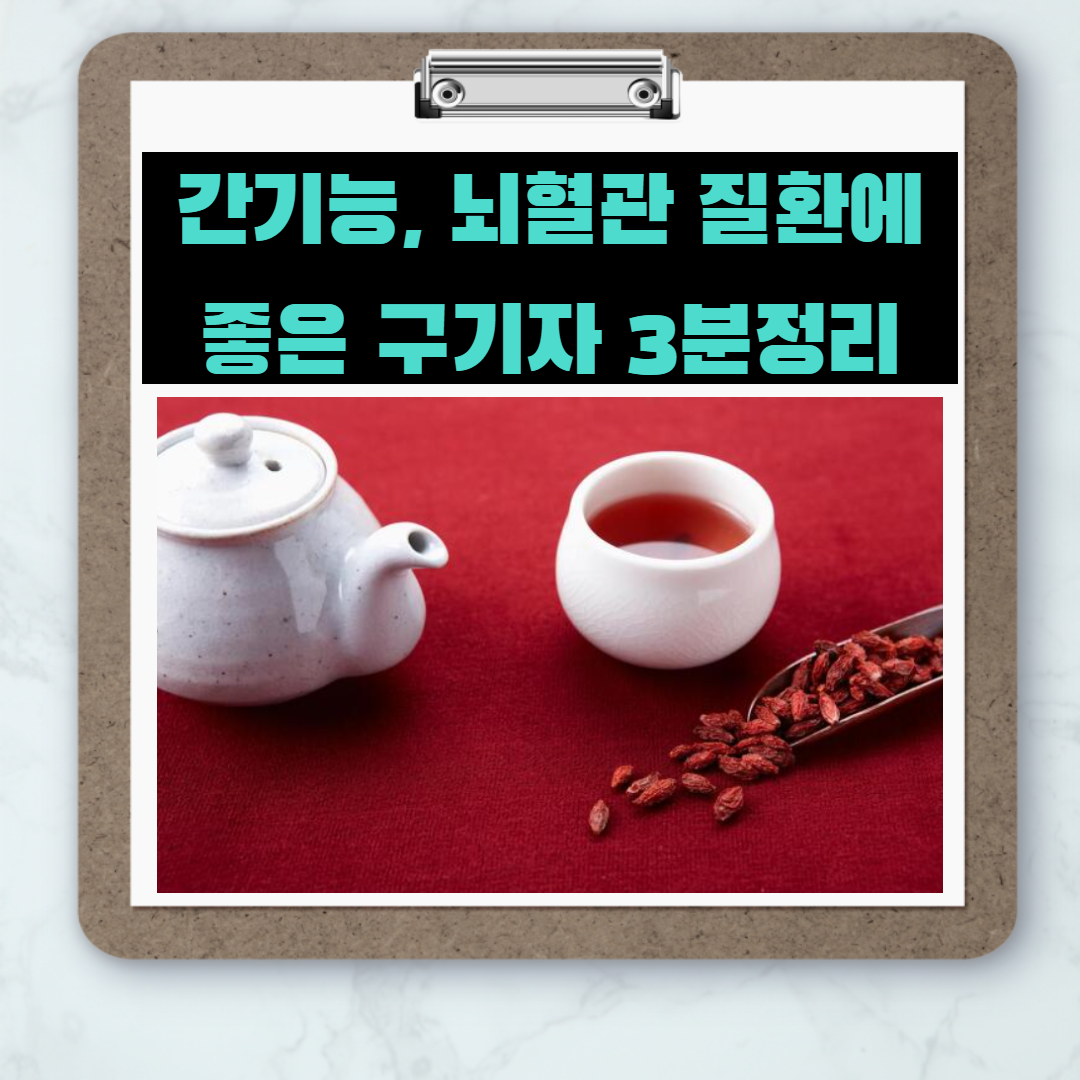  [3대명약 시리즈 1탄] 구기자의 효능 및 섭취방법
