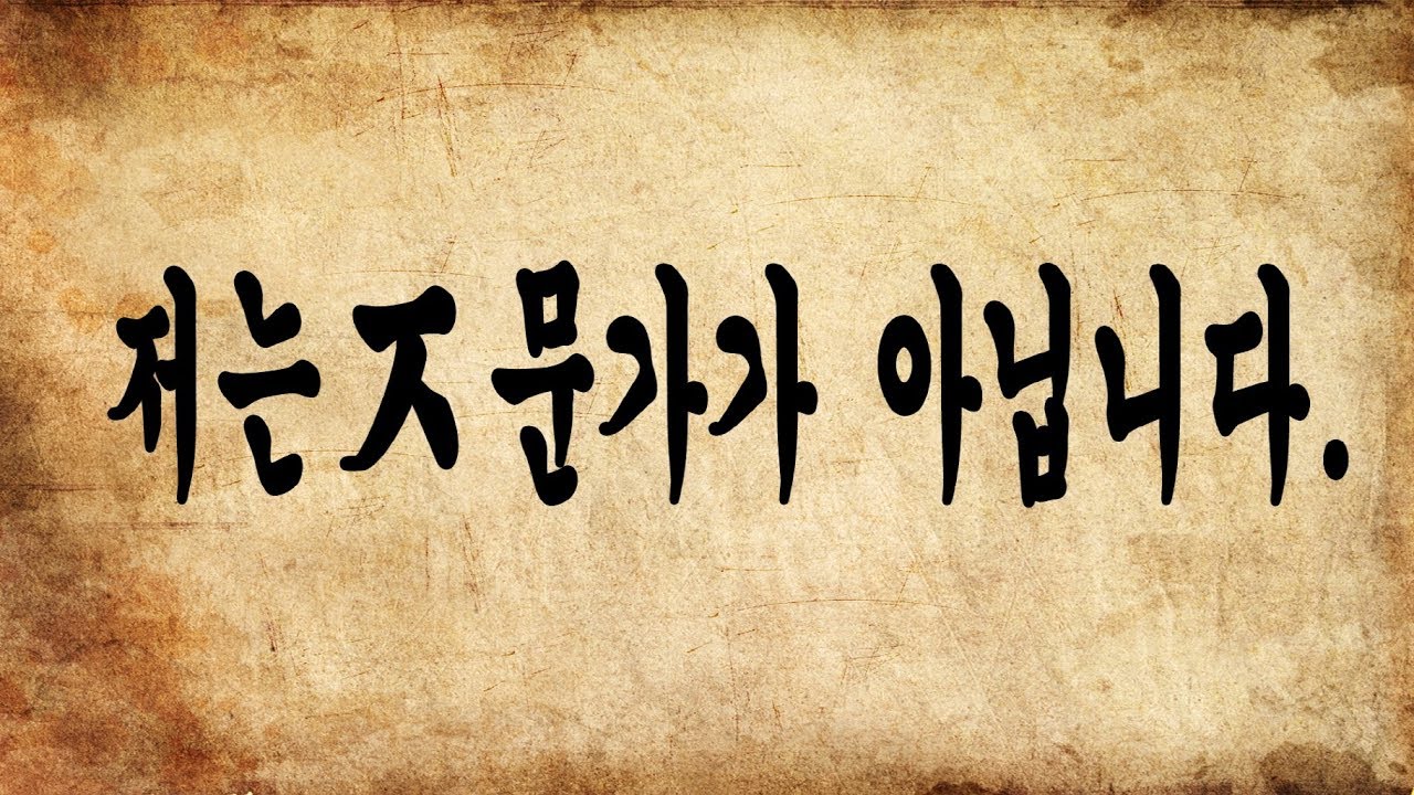  (단상) 전문가와 ㅈ문가를 구분하자