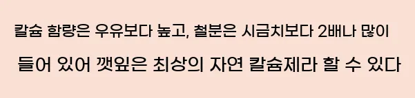  칼슘 함량은 우유보다 높고, 철분은 시금치보다 2배나 많이 들어 있어 깻잎은 최상의 자연 칼슘제라 할 수 있다