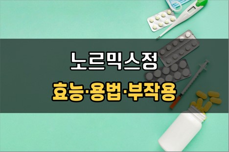  노르믹스정 복용 전 확인사항 3가지! 효능·효과, 복용법, 주의사항(부작용)