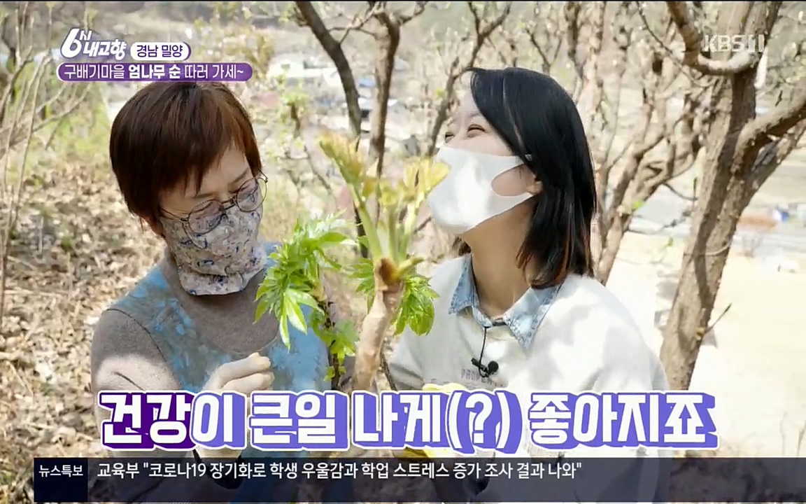 6시 내고향.E7510.220414p.H264-F1RST.mp4_20220419_182315.016.jpg