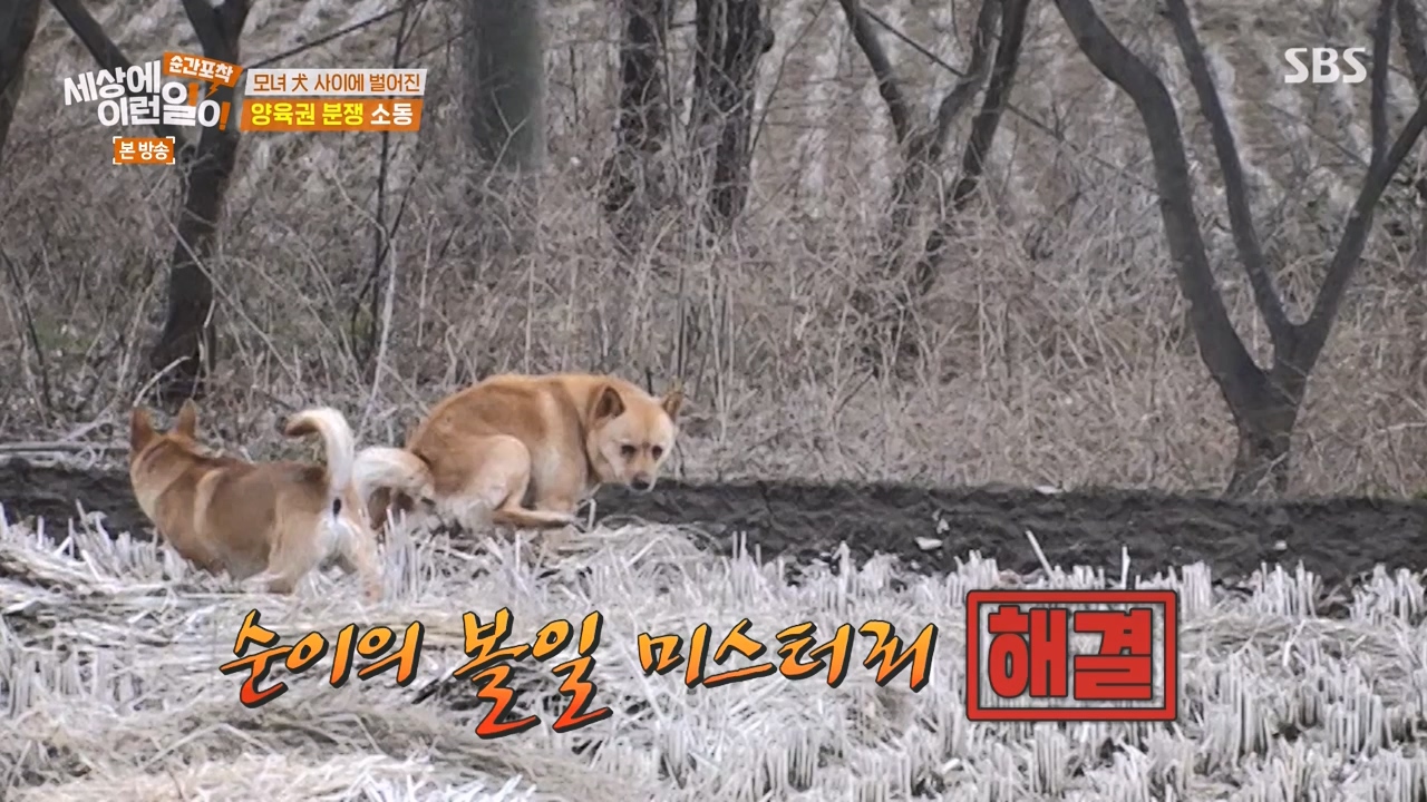 순간포착 세상에 이런일이.E1269.240317p-NEXT.mp4_20240317_163605.837.jpg