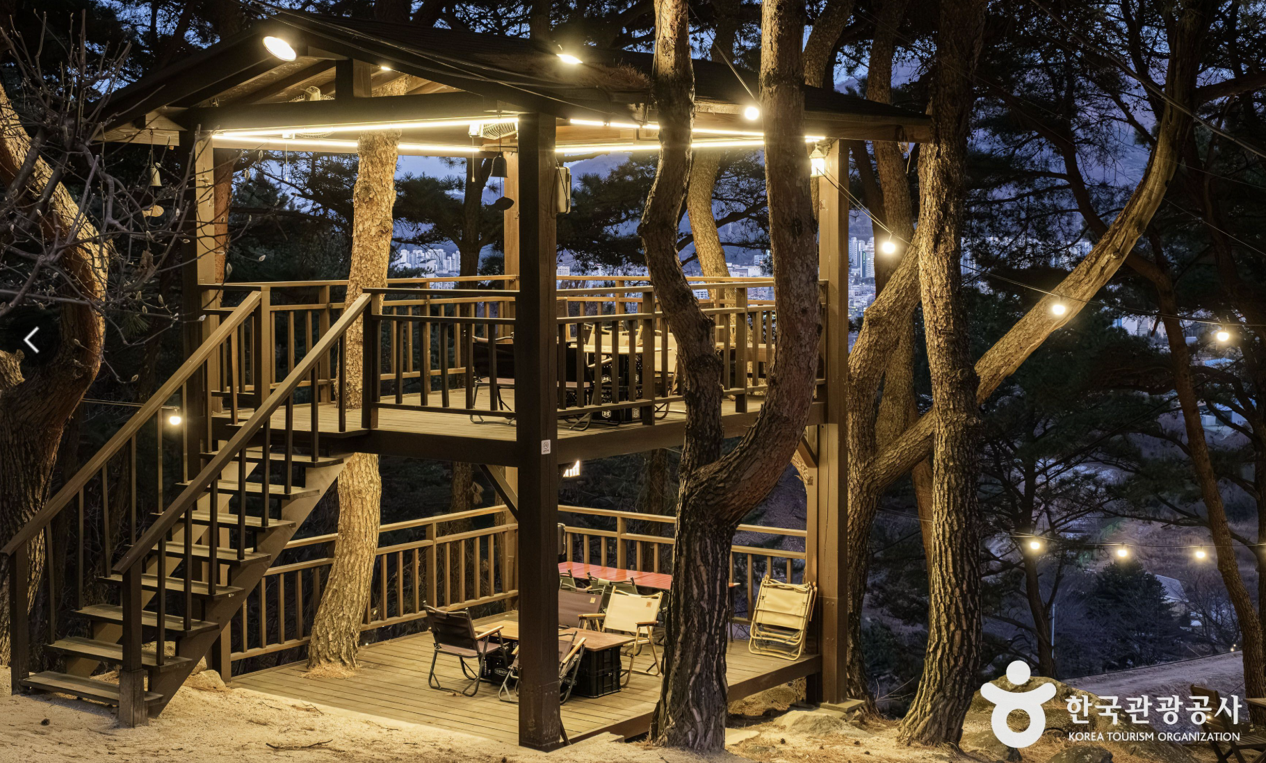 양산 카페백동 숲속