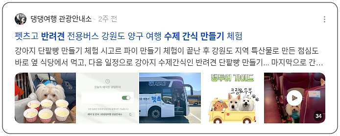 반려견 수제 간식 만들기_2_subsection