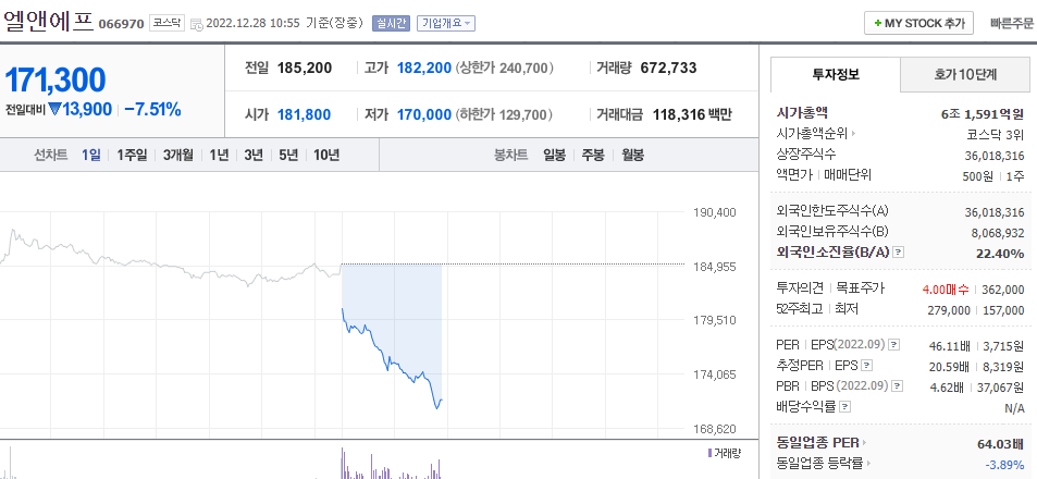  (066970)엘앤에프 주가 전망 전기차 관련주 급락 테슬라 주가 하락