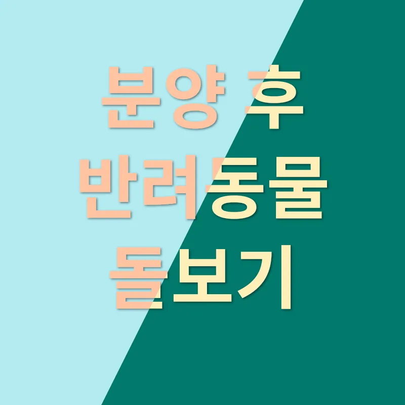 동물분양_3