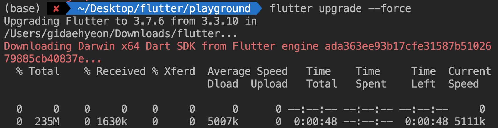 flutter upgrade --force