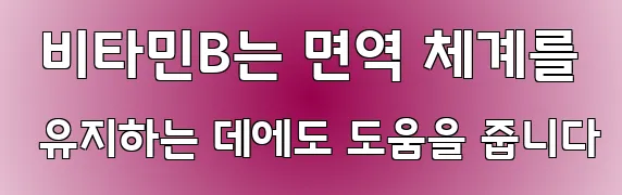  비타민B는 면역 체계를 유지하는 데에도 도움을 줍니다