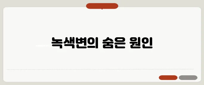 녹색변 정리 알아두면 유용해요