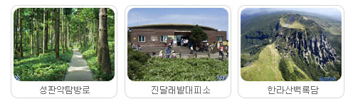 제주 한라산 등반코스 완벽 분석