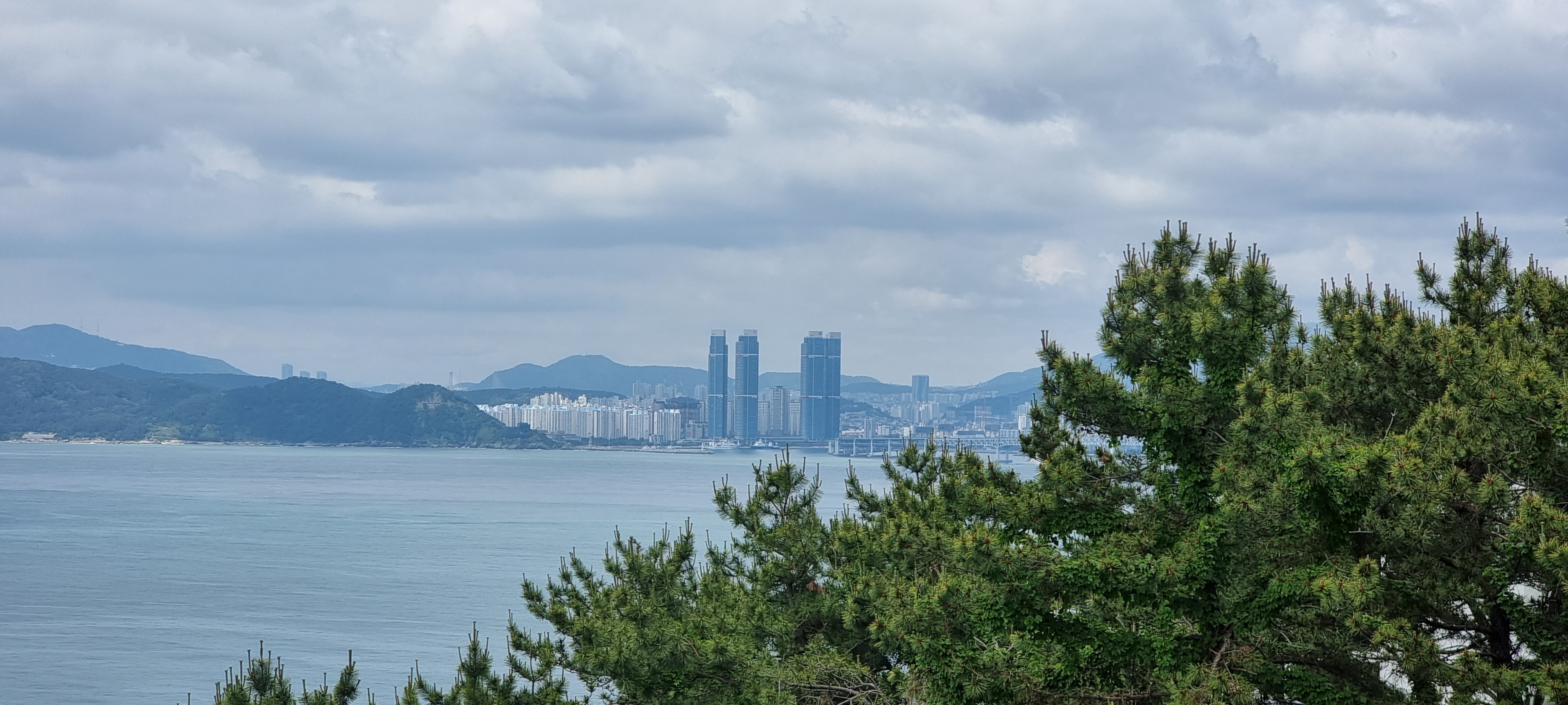 바라본바다 이미지