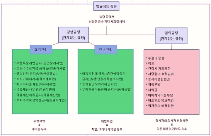  임의규정 강행규정 단속 효력 법규 주임법 대표적 편면적 강행규정