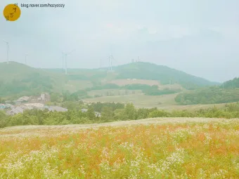영암 가볼만한곳 베스트10 현지인 추천 필수코스_24