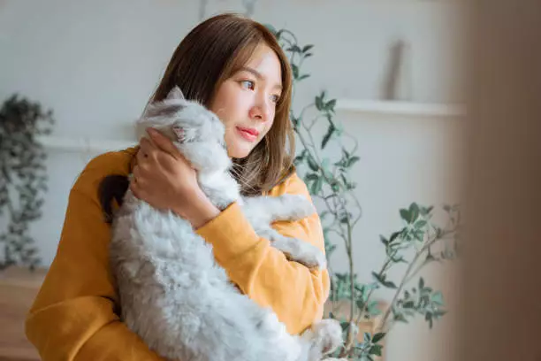얼굴이 붓는 이유 3가지