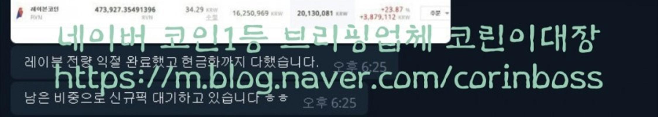 레이븐코인(9).jpg