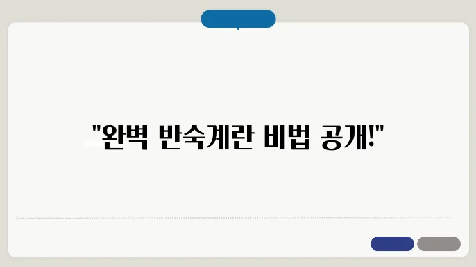 반숙계란 요리 조언