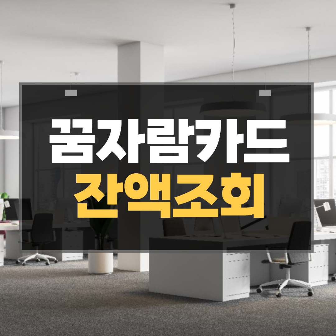 꿈자람카드-잔액조회