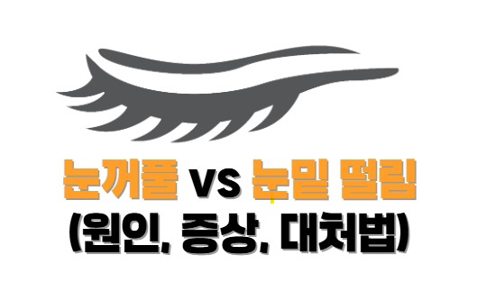 눈꺼풀 vs 눈밑 떨림 (원인, 증상, 대처법)