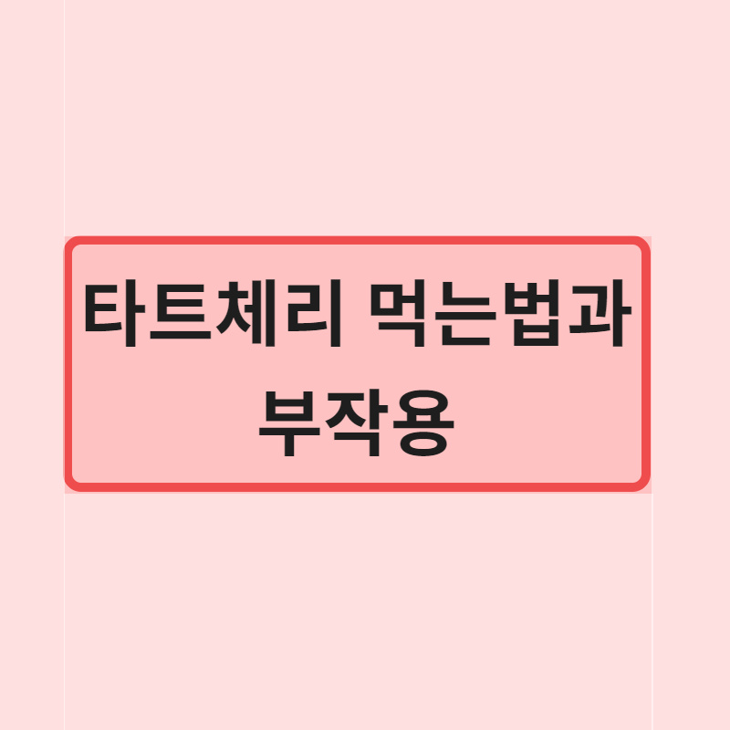  몽모랑시 타트체리 원액 주스 먹는법과 부작용