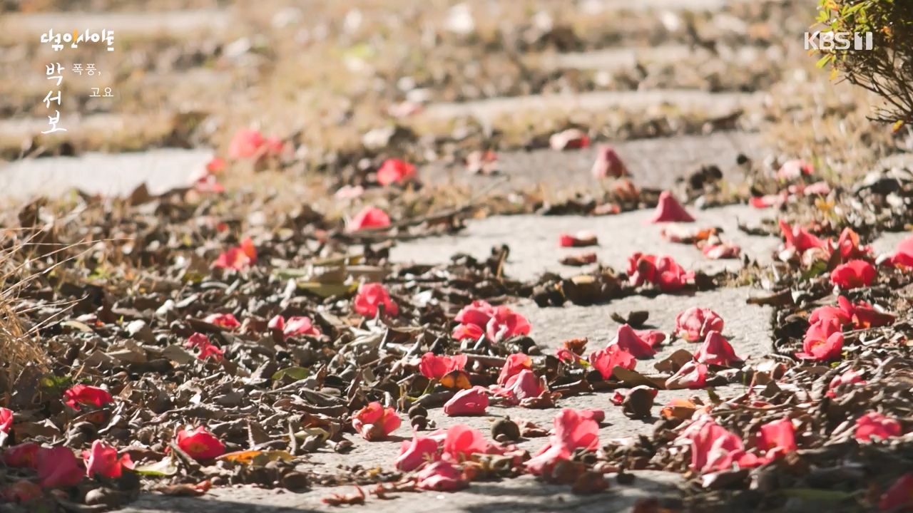 다큐 인사이트.E167.231103p-NEXT.mp4_20231103_200431.451.jpg