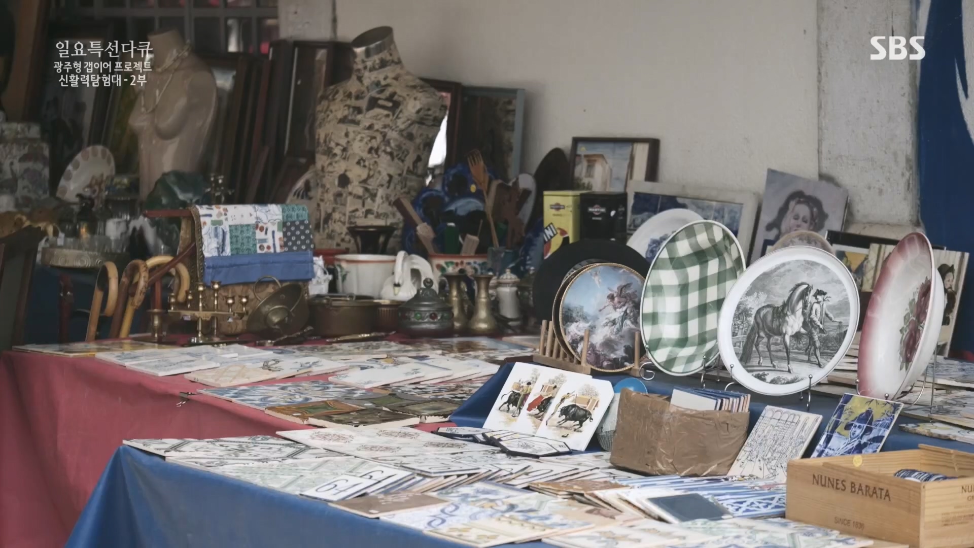 일요 특선 다큐멘터리.E326.231029p.H264-F1RST.mp4_20231029_160640.786.jpg