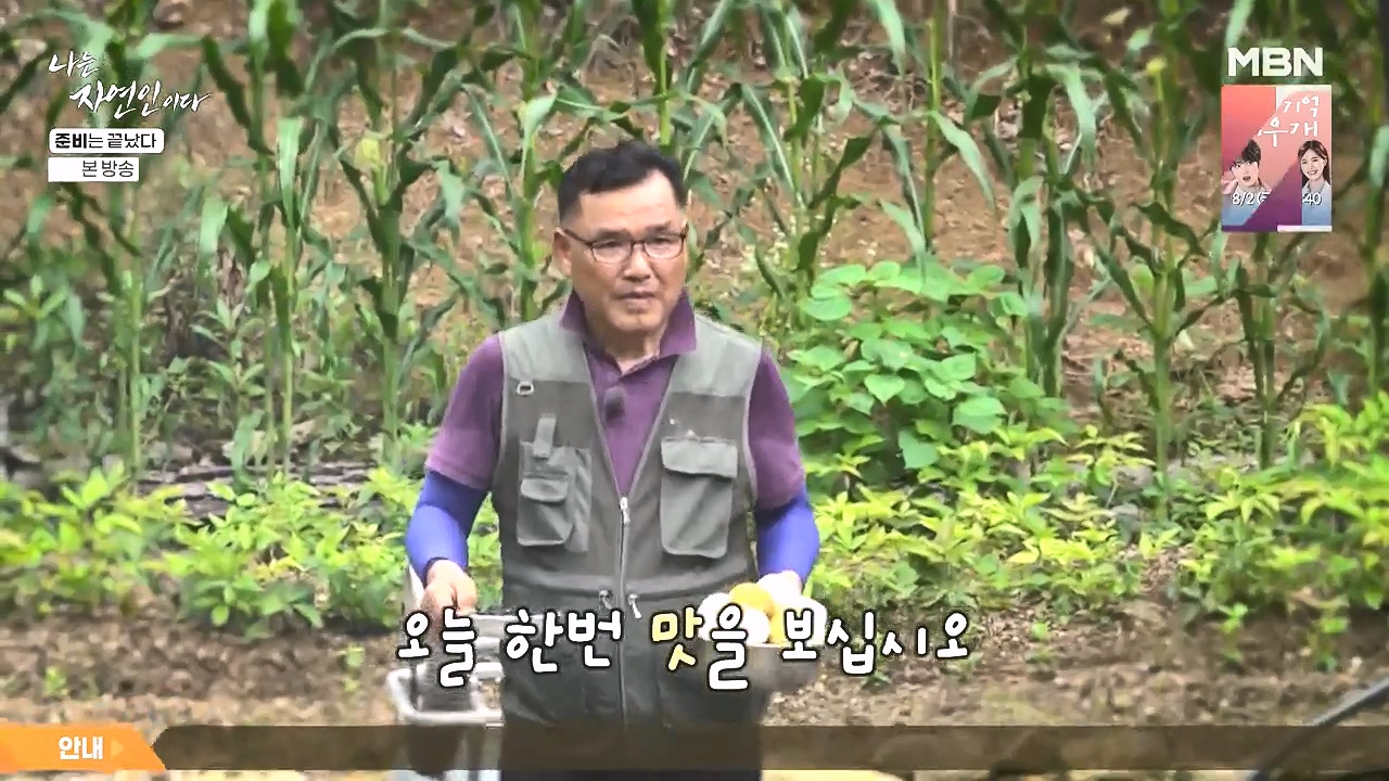 나는 자연인이다.E616.240732p-NEXT.mp4_20240801_195119.548.jpg