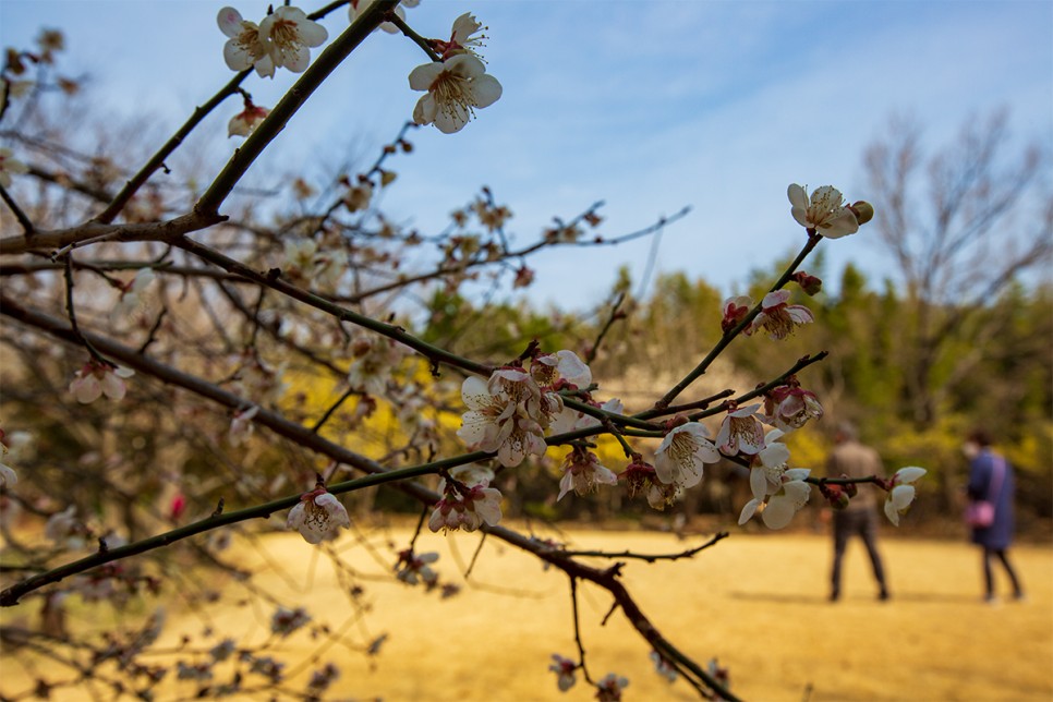 윤스테이 구례 구례 가볼만한곳 윤스테이 28