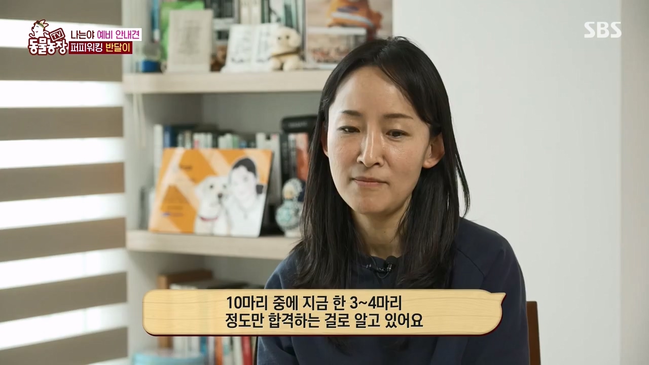 TV 동물농장.E1122.230529p-NEXT.mp4_20230528_170255.955.jpg