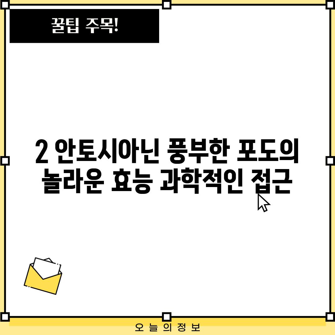 2. 안토시아닌 풍부한 포도의 놀라운 효능: 과학적인 접근