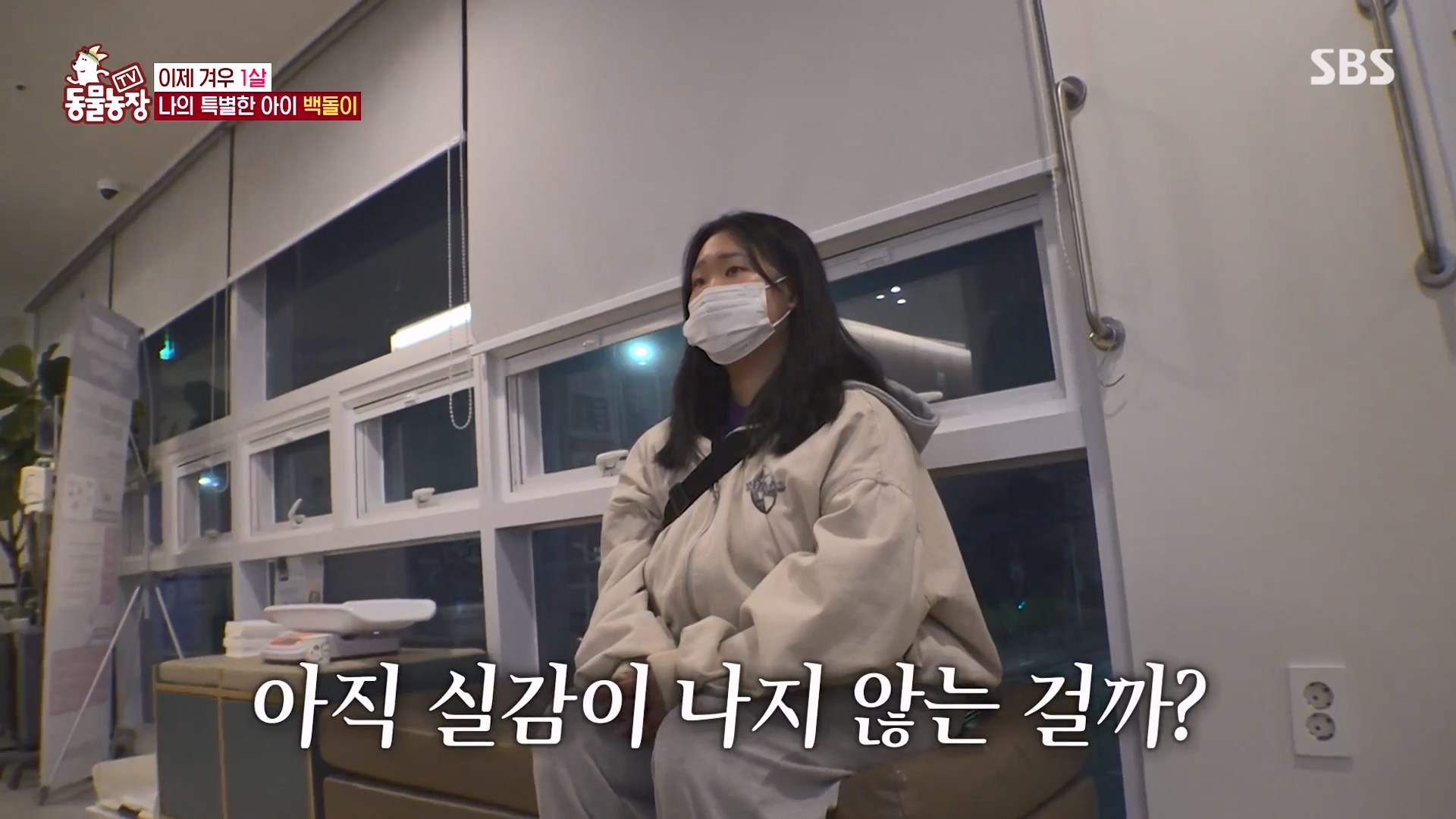 TV 동물농장.E1164.240324p-NEXT.mp4_20240324_171906.126.jpg