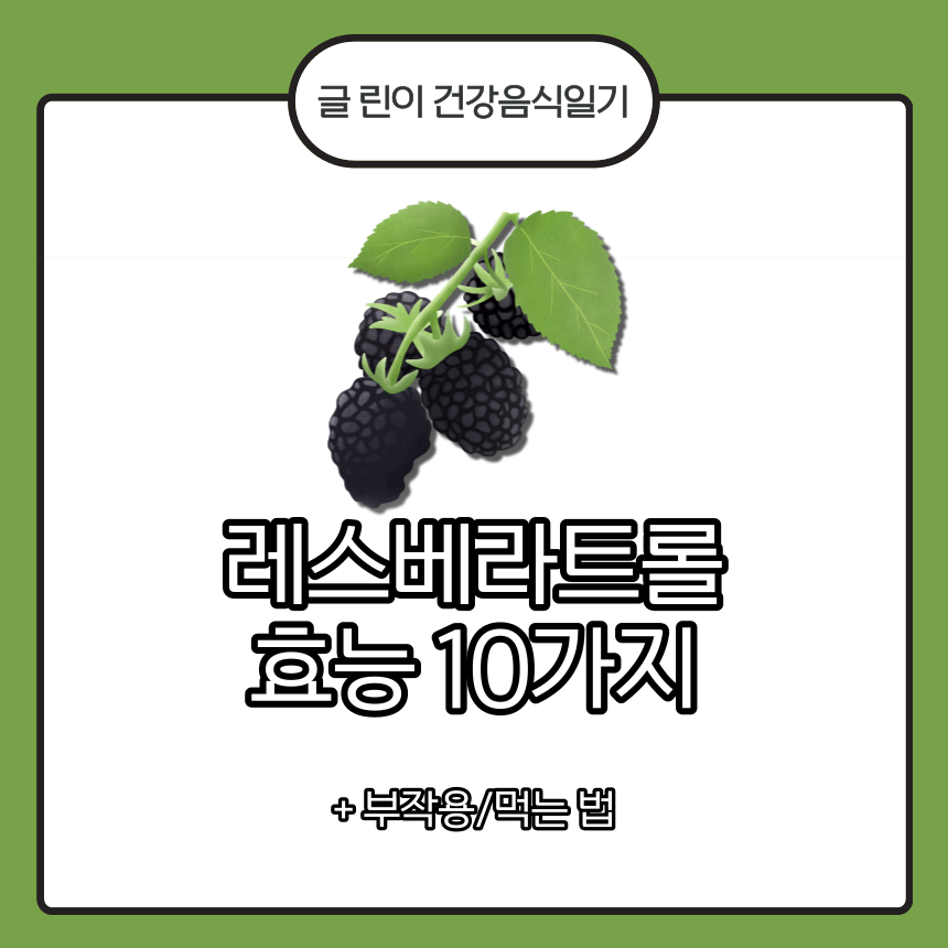  레스베라트롤 효능 10가지