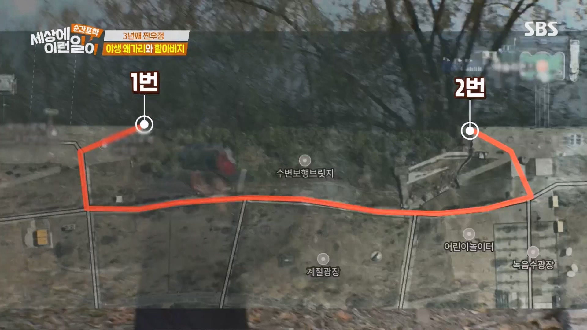 순간포착 세상에 이런일이.E1260.240113p.H264-F1RST.mp4_20240114_200329.249.jpg