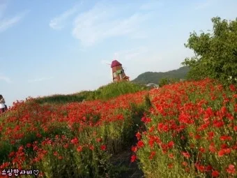 5월 경남 부산 근교 가볼만한곳 베스트10 명소_8