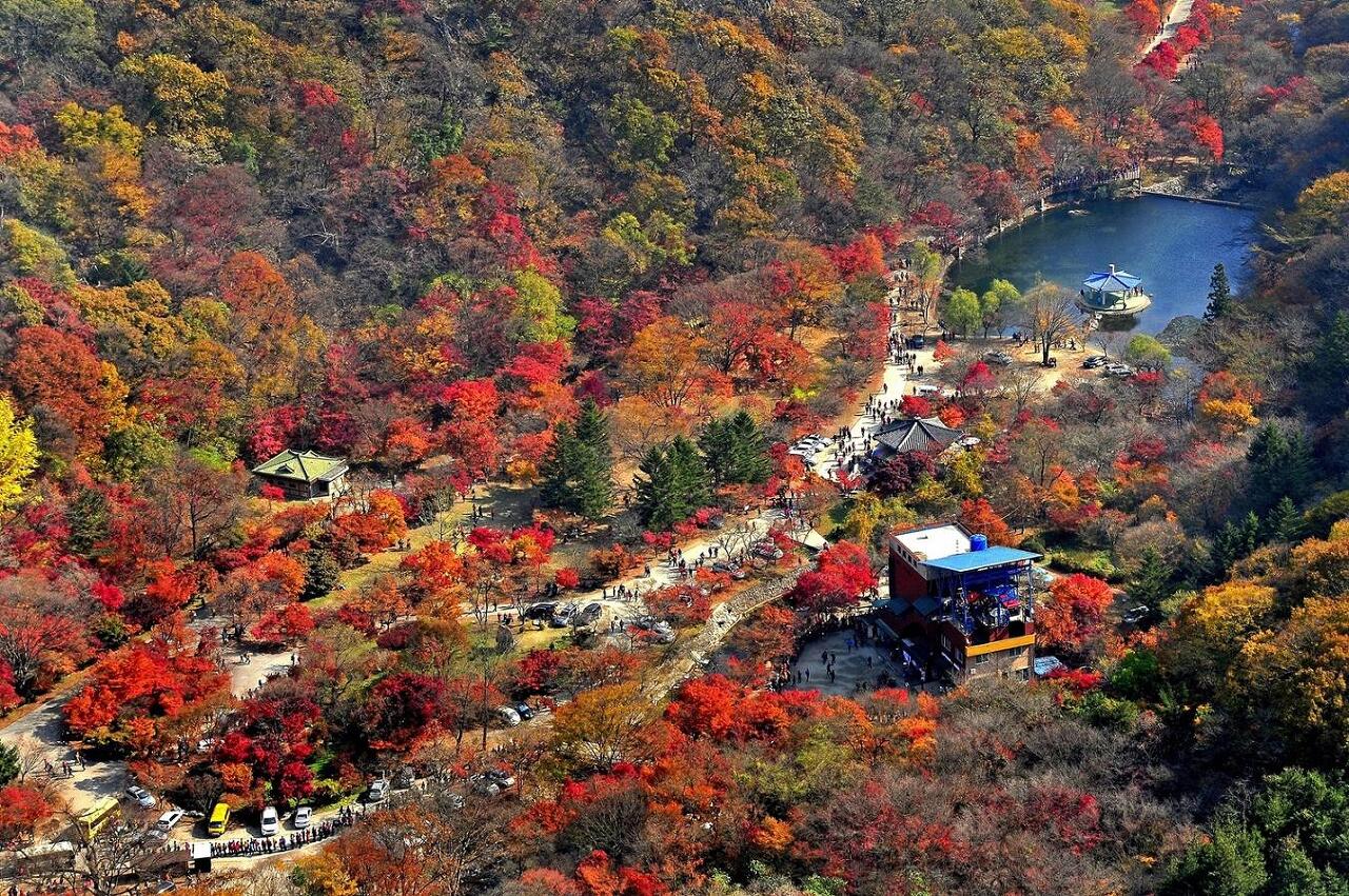 내장산-국립공원-단풍-절정시기