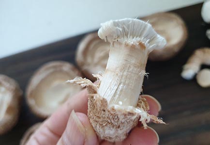  표고버섯 손질 하는 법 / How to clean Shiitake Mushroom