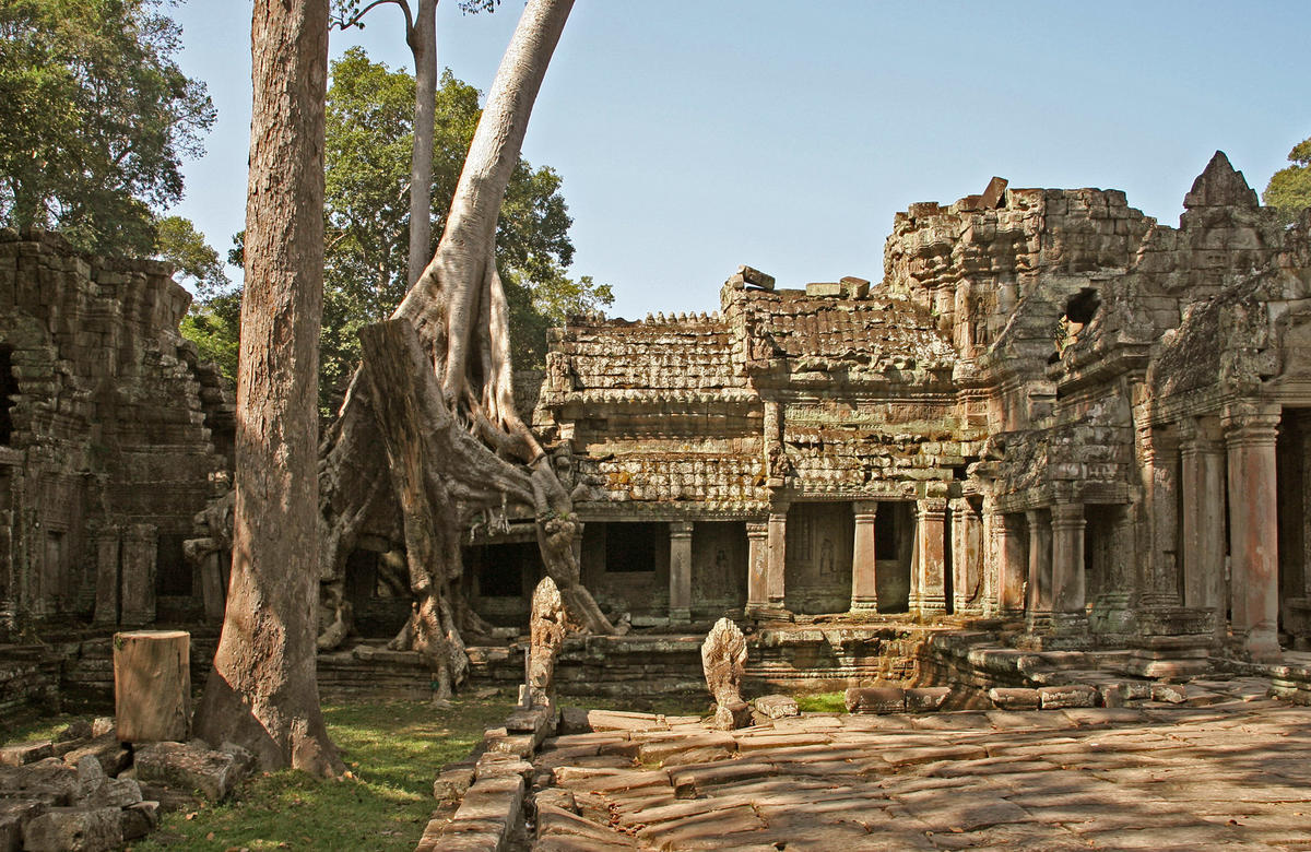  [ 캄보디아 씨엠립 관광지 ] 프레아 칸 사원 Preah Khan Temple