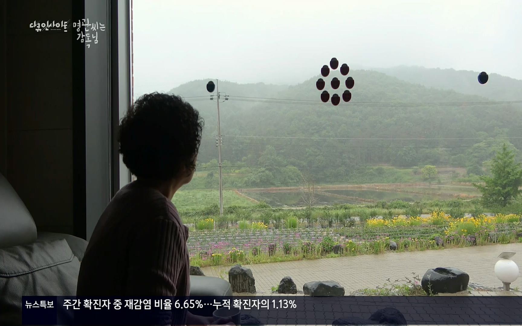 다큐 인사이트.E122.220825p.H264-F1RST.mp4_20220826_152320.931.jpg