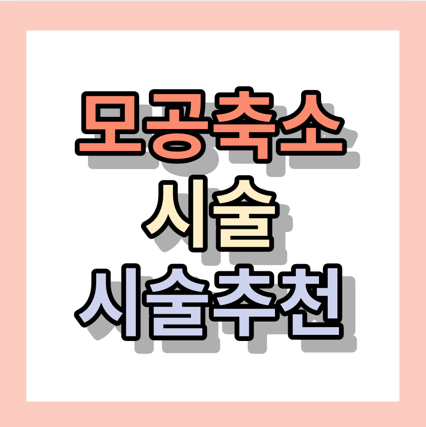 모공축소시술 &lt;특히&#44; 코모공축소시술&gt; 새살침