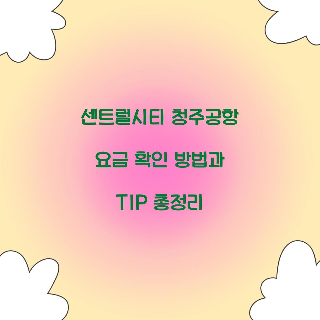 센트럴시티 청주공항 요금