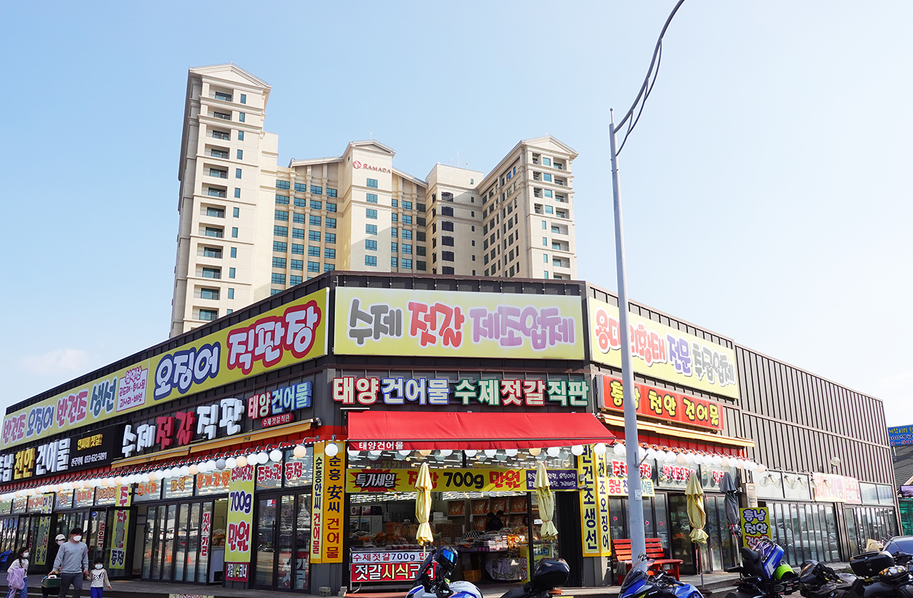  속초 대포항