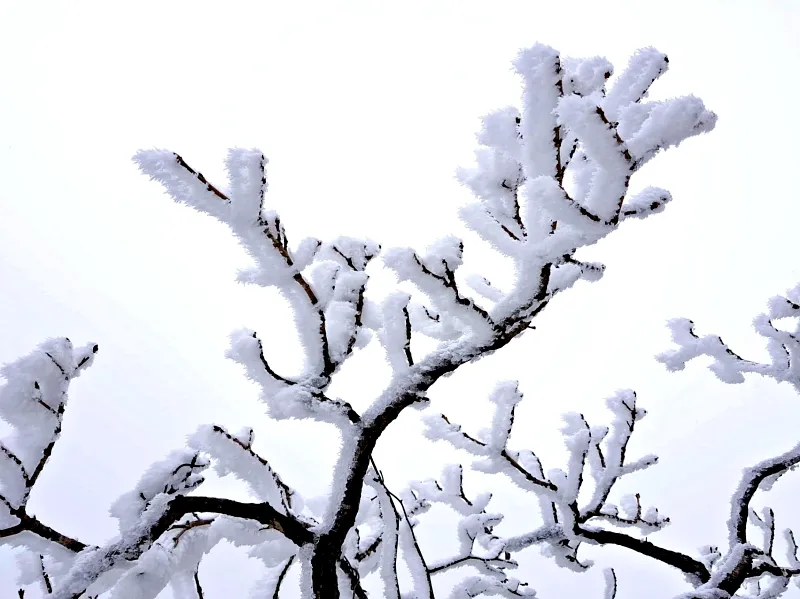 소백산 설경 상고대