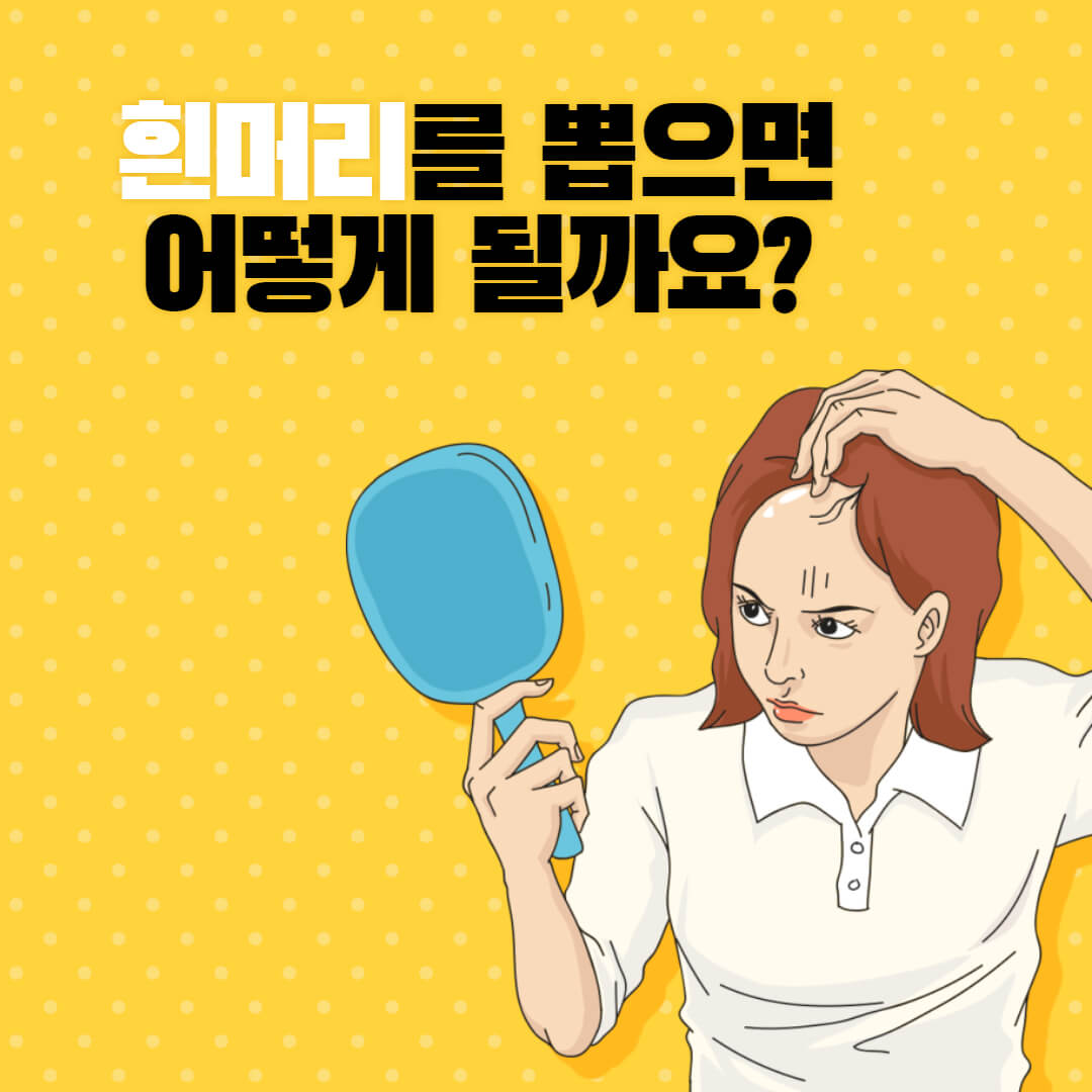  흰머리 뽑으면 다시 자라나요?