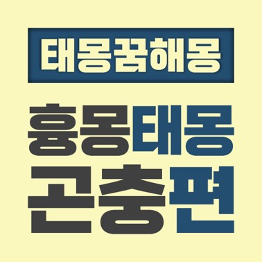  [꿈해몽풀이] 흉몽 태몽 곤충편 (곤충 벌레 나비 잠자리)