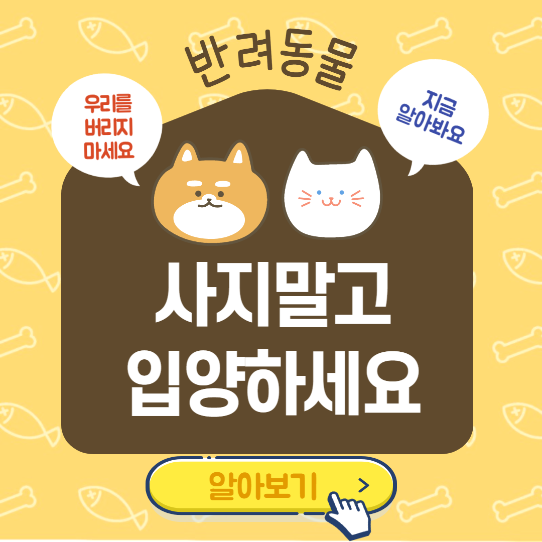 반려동물 입양지원