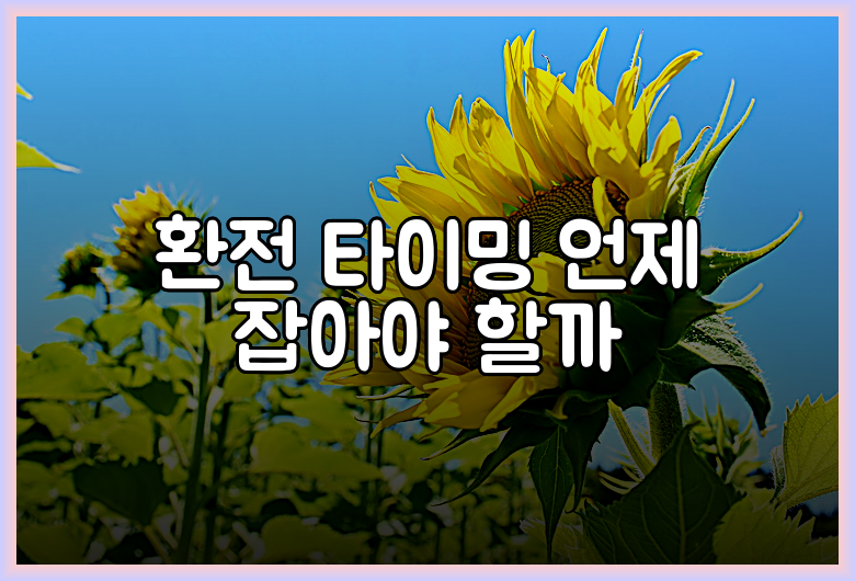 환전 타이밍 언제 잡아야 할까